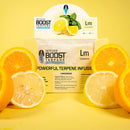 Integra Boost Terpene Essentials: Limonene 67g at 62% RH (12pcs/Box)