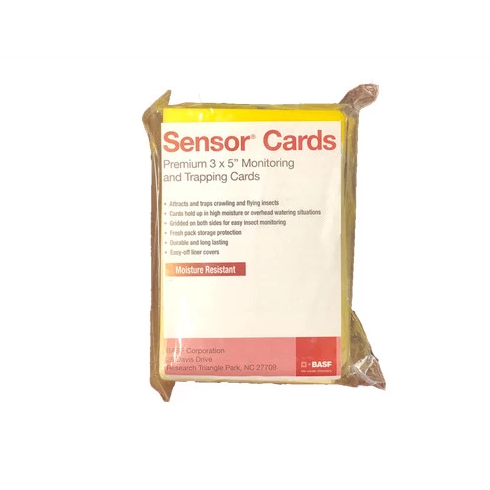 BASF 3" x 5" Yellow Sensor Cards Premium trapping sticky traps 50 card per pack - TheHydroPlug