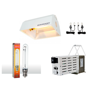 Light System Bundle Kit HPS Bulb Radiant Hood 600w Ballast 120/240v w/ Ratchets - TheHydroPlug