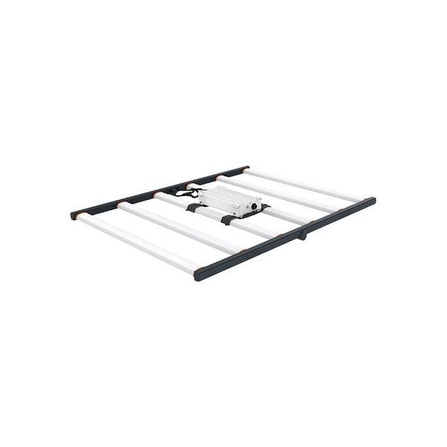 SPYDR 2i 33″