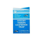 Seabright Labs - (5-Pack) Sticky Thrips/Leafminer Traps - TheHydroPlug